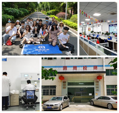 池州委托报告 确认检测报告与第三方实验室检测在深圳房产咨询中的重要性