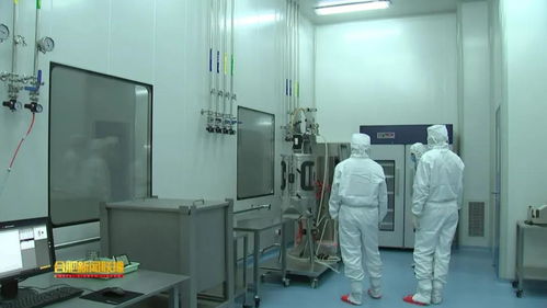 安科生物 以研发为翼，驱动创新未来的安徽生物科技领军者