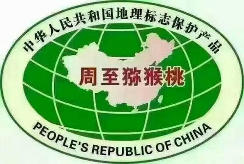 乳酸菌肥料技术赋能，陕西猕猴桃品质跃升达出口标准