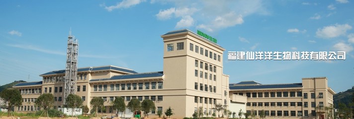 福建仙洋洋生物科技 深耕生物科技研发，引领健康产业未来